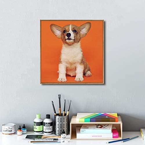 NWT Custom Framed Canvas Prints with Your Photo for Pets, Personalized Canvas Wall Art for Living Room, Bedroom - 24x24 inches
