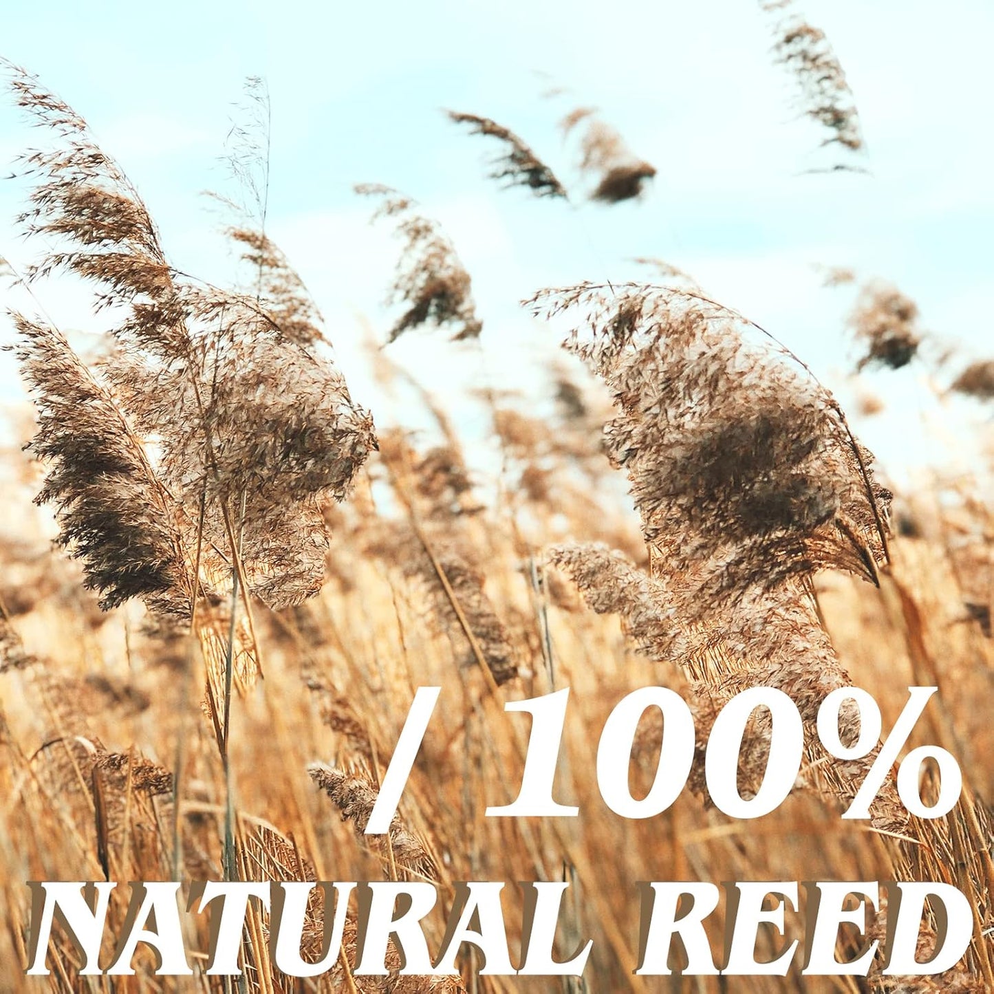Natural Reed Fencing Rolls,5.5FT X 16.4FT Reed Screen Curtain Fence Covering Privacy Bamboo for Outdoor Backyard Patio(Yellow)