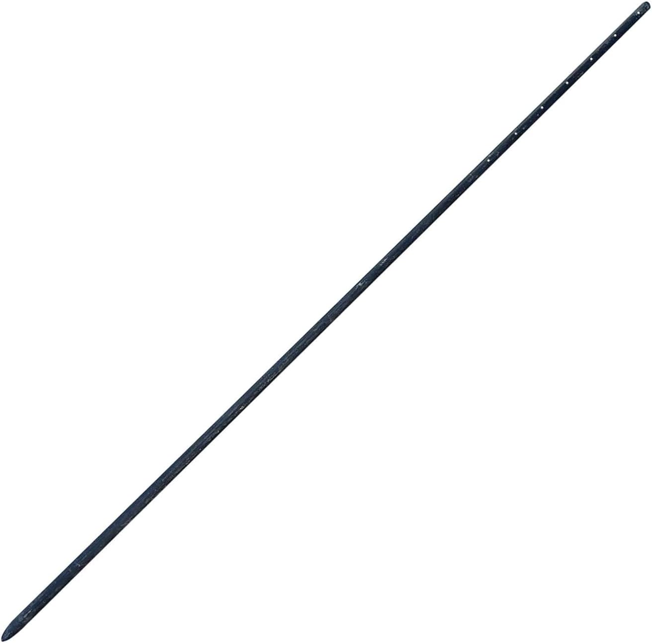 Sandbaggy Round Steel Concrete Form Stakes with Nail Holes - Rust Resistant Coating - Removable, Reusable (5, 3/4 in X 60 in)