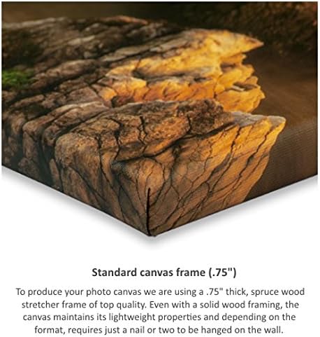 Photo.Gifts Custom Canvas Prints with Your Photo 24 x 20 inch - Customize with Picture & Text - Made in USA - Personalized Canvas Wall Art for Bedroom, Living Room, Office - Personalized Gift