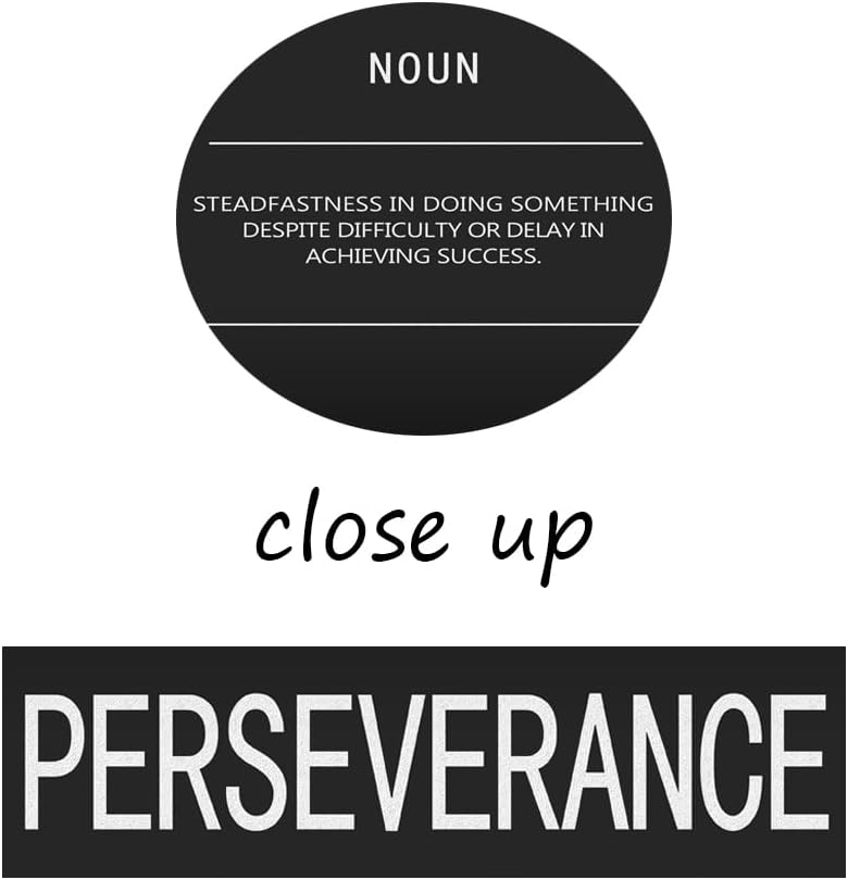 Motivational Canvas Wall Art Perseverance Noun Inspirational Posters and Prints Inspirational Painting Artwork Modern Inspiring Office Living Room Gym Decor Framed Ready to Hang[12" W X 18" H]