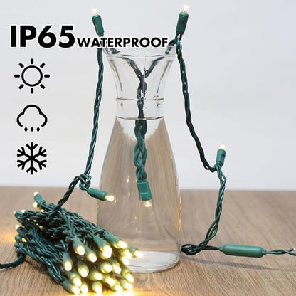 50 Count Warm White -30% Twinkle Bulbs and 70% Steady Burn Bulbs String Lights - 21.6FT LED Christmas Lights, Mini led Lights for Outdoor Home Holiday