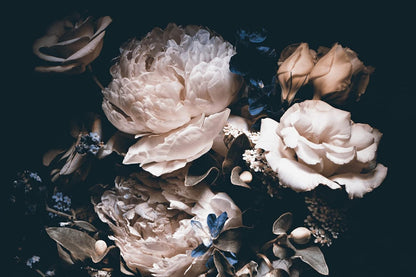 Dark Floral Wallpaper Peony Wall Mural Room Wall Decor(Not Peel n' Stick)