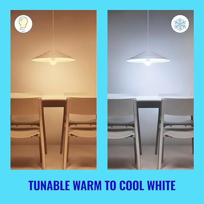 WiZ 60W A19 Tunable White LED Smart Bulb - Pack of 1 - E26- Indoor - Connects to Your Existing Wi-Fi - Control with Voice or App + Activate with Motion - Matter Compatible