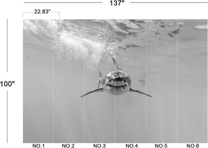 Shark Wall Mural Wallpaper for Bedroom 137" x 100"
