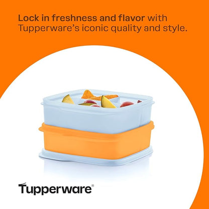 Tupperware Lunch-It Portion & Go Compact 2-Lunch Box Set in Blue & Orange, Dishwasher Safe & BPA Free (2.3 Cups/550 ml)