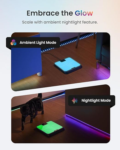RENPHO Smart Body Fat Scale with Light, Fitness Equipment with RGB Lighting, Rechargeable Scale with BMI, Body Fat, Muscle Mass, Color Changing with Weight Variation, Elis Chroma