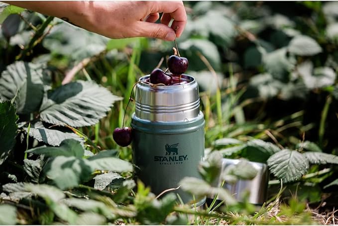 Stanley Classic Legendary Large Food Jar 1.0 qt | Vacuum Insulated Food Container | Wide Mouth Screw On Lid | Packable for Travel | Stainless Steel with Leakproof Lid | BPA-Free | Hammertone Silver