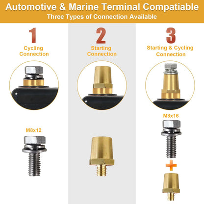 WEIZE 12V 60AH Dual Purpose LiFePO4 Lithium Battery, 800CCA Group 24 Group 34 Starting Battery Plus Deep Cycle Performance, Built-in Smart BMS, Perfect for Automotive, Trolling Motor, Marine, RV