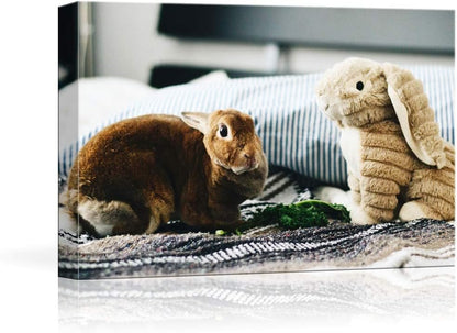NWT Custom Canvas Prints with Your Photos for Pet/Animal, Personalized Canvas Pictures for Wall to Print - 16x20 inches