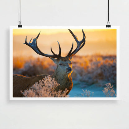 Personalized Custom Poster Prints: 8L x 12W Photo On Canvas Transform Your Photos into Stunning Unframed Wall Art Digitally Printed (8L x 12W, Unframed)