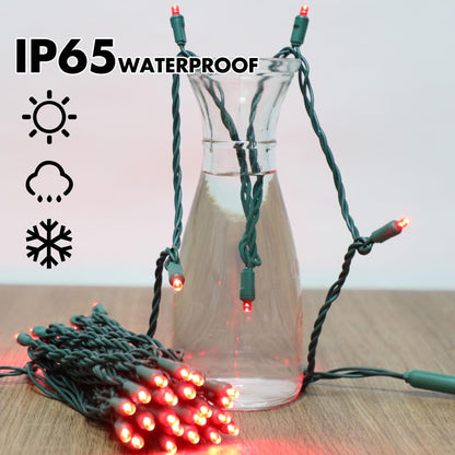 1200LED (24pk of 50L) String Lights, LED Christmas Lights, 6" SPACING,Green Wire, RED
