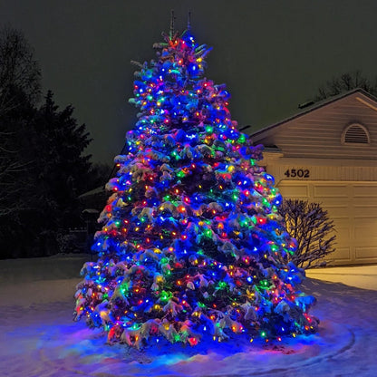 HUGSVIK C6 Solar Christmas Lights Outdoor Waterproof, 21Ft 50LED Strawberry Colored, 8 Modes Solar Powered for Tree Wreath Garland Garden Patio