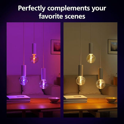 Philips Hue Lightguide G40 Large Globe Smart LED Bulb Handblown Glass - Color Changing Light - Compatible with Amazon Alexa, Apple HomeKit and Google Assistant - Bluetooth and Hue Bridge Compatible
