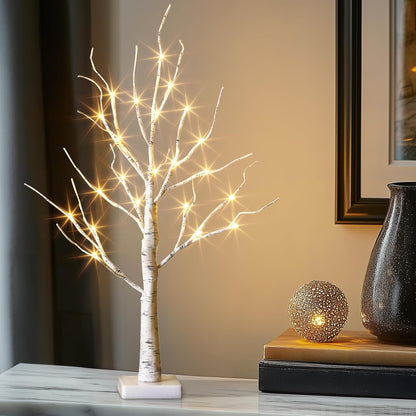 EAMBRITE Lighted Birch Tree Spring Decorations for Home, White Birch Tree with Lights, 24 LED Lighted Mini Money Tree Twig Tree Battery Operated with Timer, Christmas Indoor Centerpiece Decor (2FT)