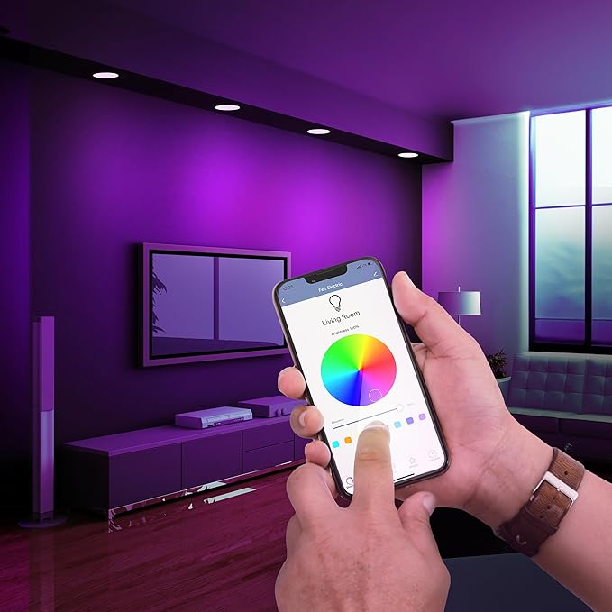 Feit Electric 4 Inch Smart Recessed Light Canless Jbox, Color Changing and Tunable White, 2.4GHz WiFi Retrofit LED Downlight, Dimmable, LEDR4XT/RGBW/CA/AG