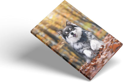 Custom Canvas Prints With Your Photos,Personalized Pictures On Canvas Wall Art for Bedroom, Living Room, Wedding Baby Pet Family Picture Framed Wall Art (5"W x 7"H) - Gift Wrapping Available