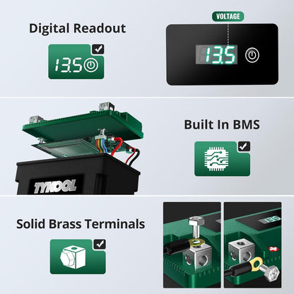 TYKOOL YTX12-BS STD LiFePO4 Lithium Motorcycle Battery,280CCA,2X Cranking Amps,Digital Readout,Compitable for BMW F850GS,Kawasaki Vulcan 900, BRP (Can-AM) DS250 ATV,Piaggio Vespa 300cc Scooter