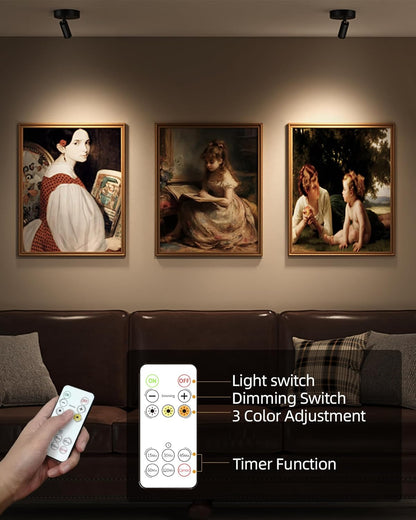 EZVALO Wireless LED Spotlights Indoor, 5500mAh Rechargeable Battery Powered Plants Spotlights Indoor, Dimmable & Timer, 3 CCT Small Up Lights with Remote, Accent Uplighting for Artwork,Tree(Black)