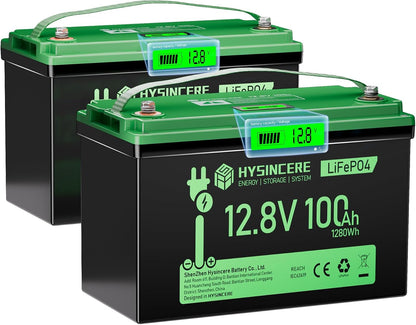12V 100Ah LiFePO4 Battery BCI Group 31 Lithium Battery, Deep Cycle Battery with 100A BMS, 1280Wh Energy, Up to 15000 Cycles & 10-Year Lifespan for Trailer RV, Marine, Home Energy System-2 Packs