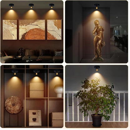 Rechargeable Spotlight, Battery Powered Picture Lights with Remote, Dimmable Plant Spot Light Indoor, Cordless Accent Lighting, LED Uplight for Tree Dartboard Decor Painting Artwork Photo