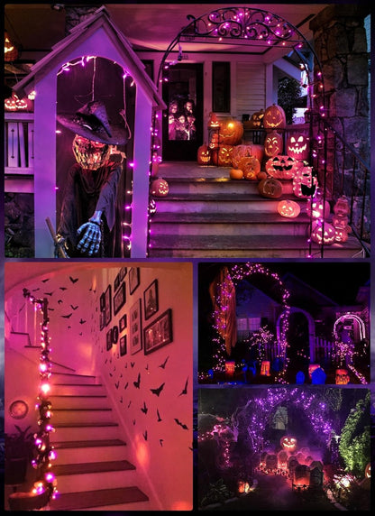 Battery Operated Halloween Indoor String Lights, 8 ft 20 LED Orange and Purple Mini Tree Lights with Timer, Indoor Outdoor Patio Garland Window Decor for Party Christmas Halloween Decorations