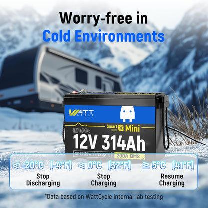 12V 314Ah Mini LiFePO4 Lithium Battery with Bluetooth 5.0, 200A BMS, 4.01kWh Energy, Upgraded Aluminum Cooling Fins & Braided Copper Wires, for RV, Marine, 300ah + LiFePO4 Battery