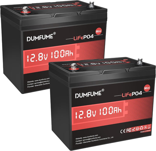 2 pack 12V 100Ah Mini LiFePO4 Lithium Battery,100A BMS 1280Wh BCI Group 24 Lithium Iron Phosphate Battery 6000+ Cycles Perfect for RV, Solar, Marine and Home Energy Storage