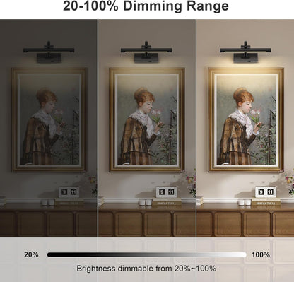 Battery Operated Picture Lights for Wall Black Art Light Wireless Gallery Lights with Timer and Remote 12 Inch 2W Warm White
