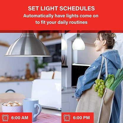 Sengled Smart Light Bulbs, WiFi Light Bulbs No Hub Required, Smart Bulbs That is Compatible with Google Home, Smart LED Light A19 Daylight (5000K), 800LM 60W Equivalent, 2 Pack"