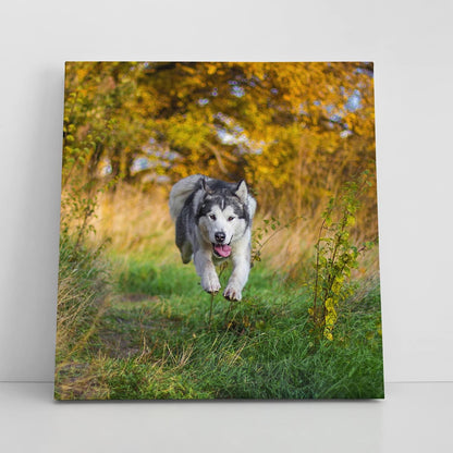 Framed Canvas Prints With Your Photo - Personalized Picture To Canvas Wall Art - Paper Poster Available