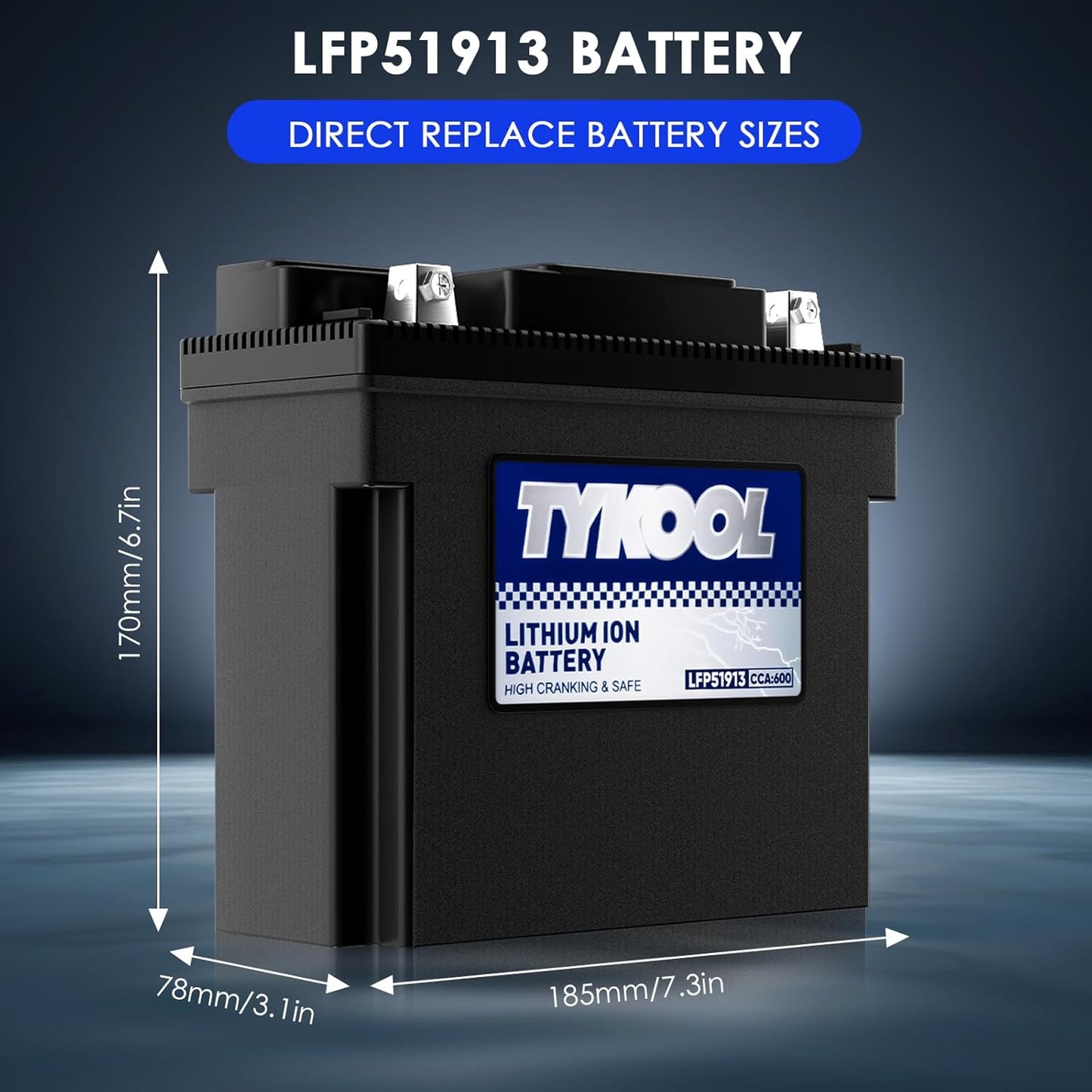 TYKOOL 51913,51814,53030,Digital Readout, High Performance Lithium Phosphate Motorcycle Battery, 600CCA,12Ah,Compatible for BMW Series Motorcycle R1300GT,R1600GT,Champion generator battery