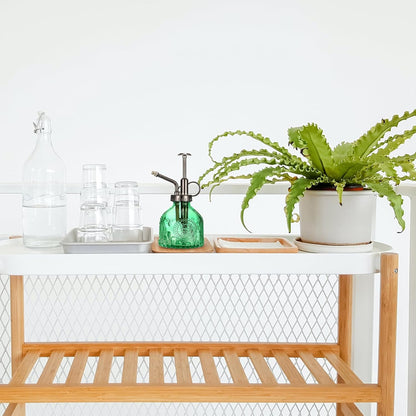 Glass Plant Mister Spray Bottle, Vintage Plant Spritzer Watering Can, Succulent Watering Bottle with Top Pump, Small Plant Sprayer Mister for Indoor Outdoor House Plant - Green