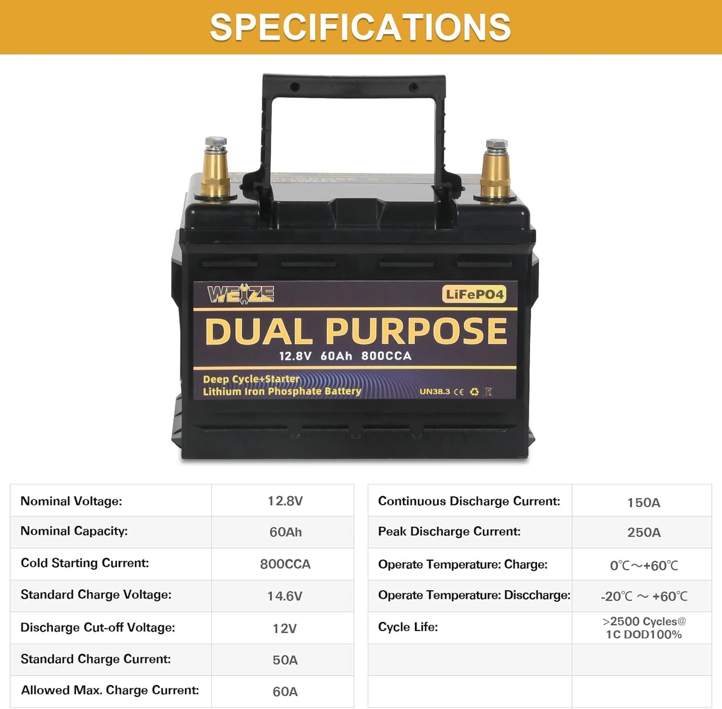 WEIZE 12V 60AH Dual Purpose LiFePO4 Lithium Battery, 800CCA Group 24 Group 34 Starting Battery Plus Deep Cycle Performance, Built-in Smart BMS, Perfect for Automotive, Trolling Motor, Marine, RV