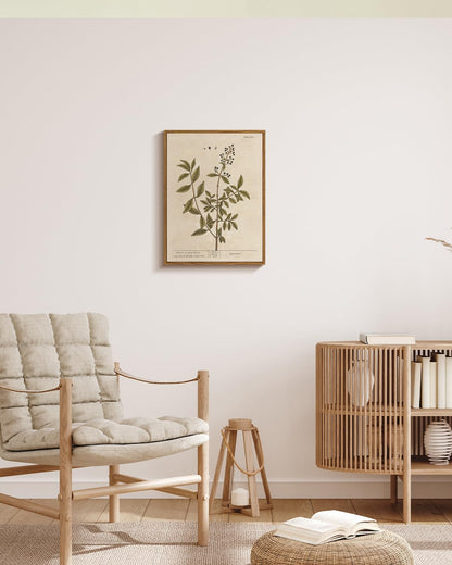 VIYYIEA Framed Canvas Wall Art Home Decor Boho Plant Wall Decor Minimalist Botanical Print Canvas Wall Art Pictures for Rustic Vintage Farmhouse Home Kitchen Room Decor 12x16in
