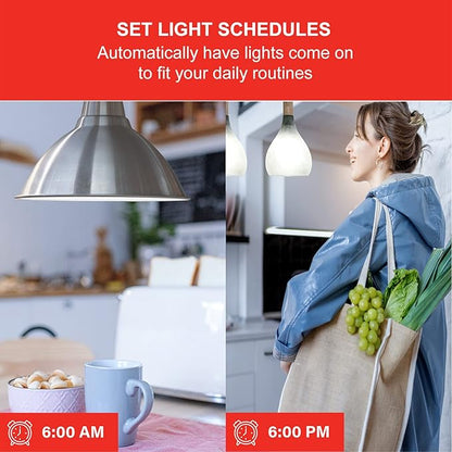 Sengled Zigbee Smart Light Bulbs, Smart Hub Required, Work with SmartThings and Echo with Built-in Hub, Voice Control with Alexa and Google Home, 5000K 100W Eqv. Daylight A19 Alexa Light Bulb, 2 Pack