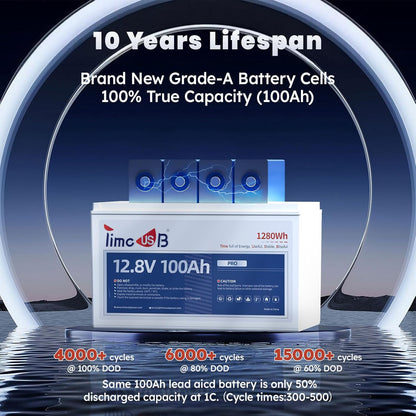 12V 100Ah Pro LiFePO4 Battery 2 Packs, Grade A Battery Cells, Group 31 Deep Cycle Lithium Battery, 100A BMS,10-Year Lifetime, Suitable for RV, Solar Home System and Off-grid Application