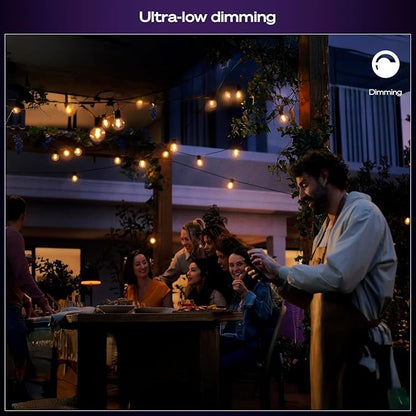 Philips Hue Festavia Globe Outdoor String Lights, White & Color Ambiance, 45ft,16 Bulbs, Dimmable, Control with Hue App or Voice, Bridge Required
