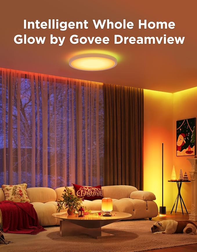 Govee RGBIC Smart Table Lamp 2 Bundle Floor Lamp 2 with Matter
