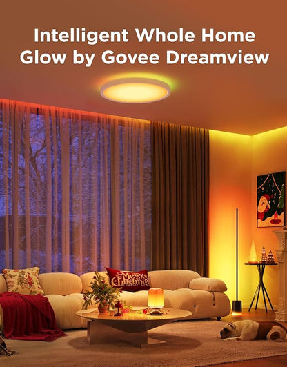 Govee RGBIC Smart Table Lamp 2 Bundle Floor Lamp 2 with Matter