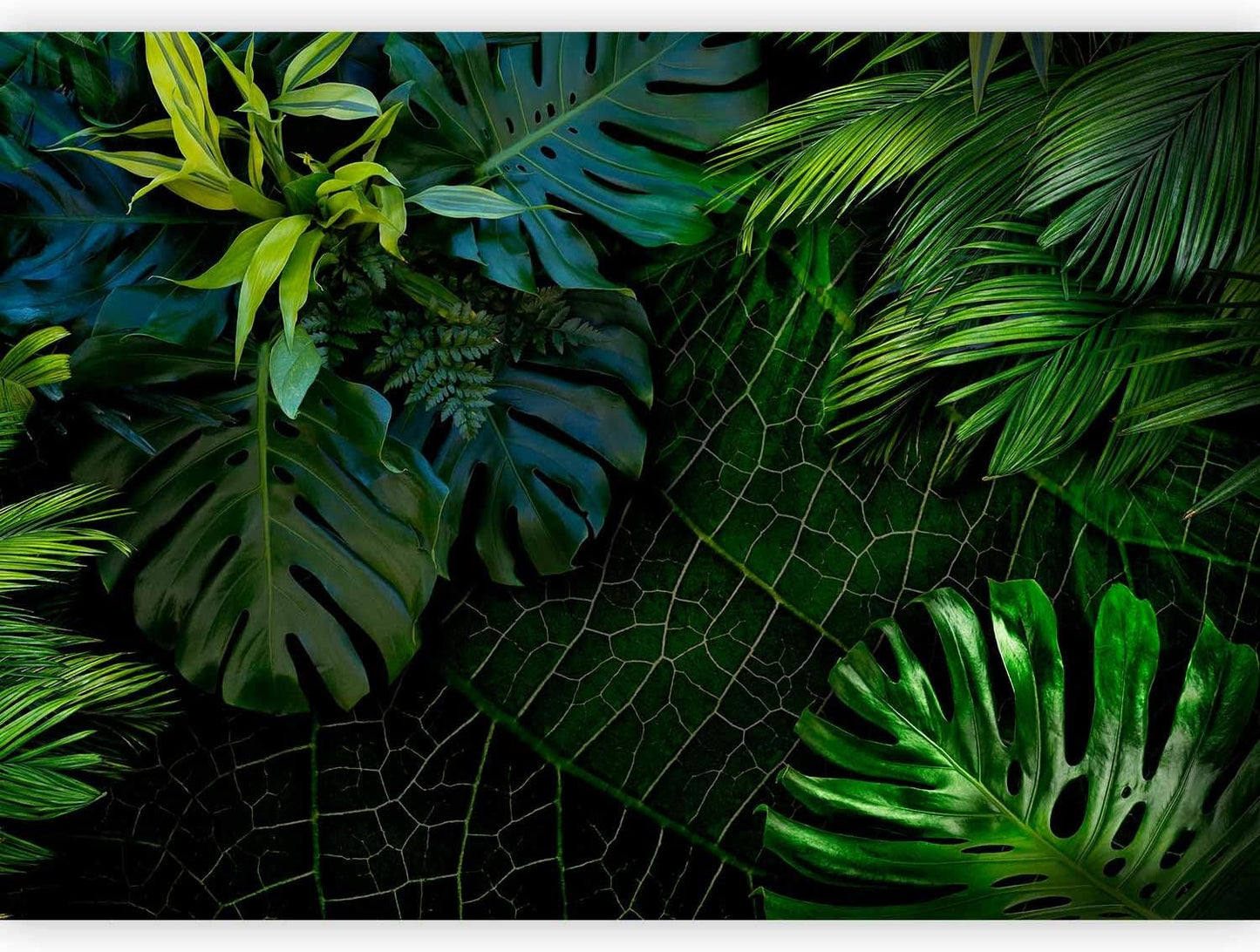 artgeist Wall Mural Tropical 79"x55" XXL Peel and Stick Self-Adhesive Wallpaper Removable Large Sticker Foil Wall Decor Print Picture Image Design