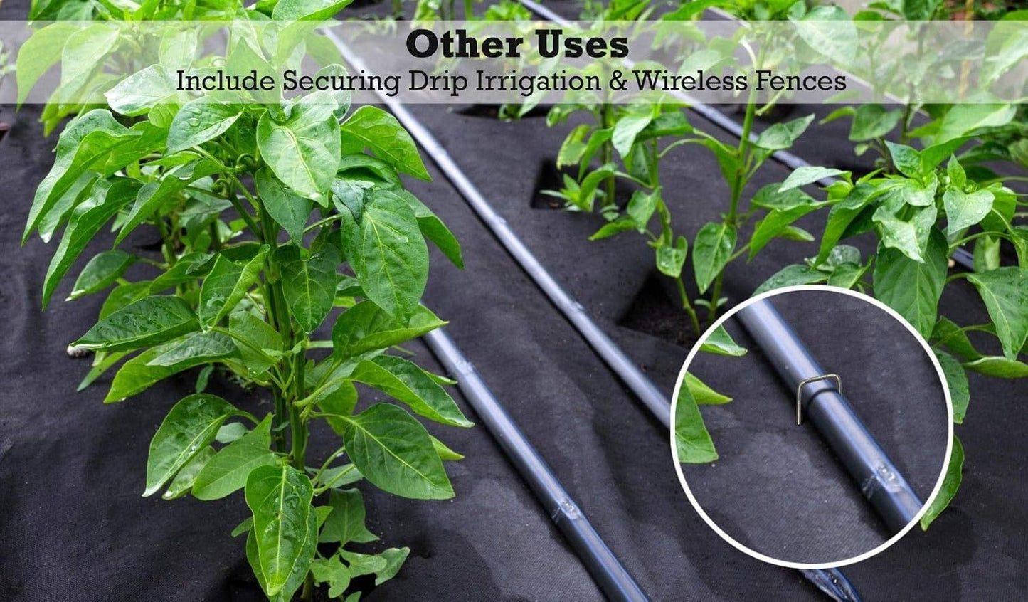 Sandbaggy 6 inch Landscape Sod Staples (9 Gauge Steel) ~ Great for Hard Soil - 20% Thicker Than Competition - Trusted by Farmers & Contractors Across USA (1000 Staples)