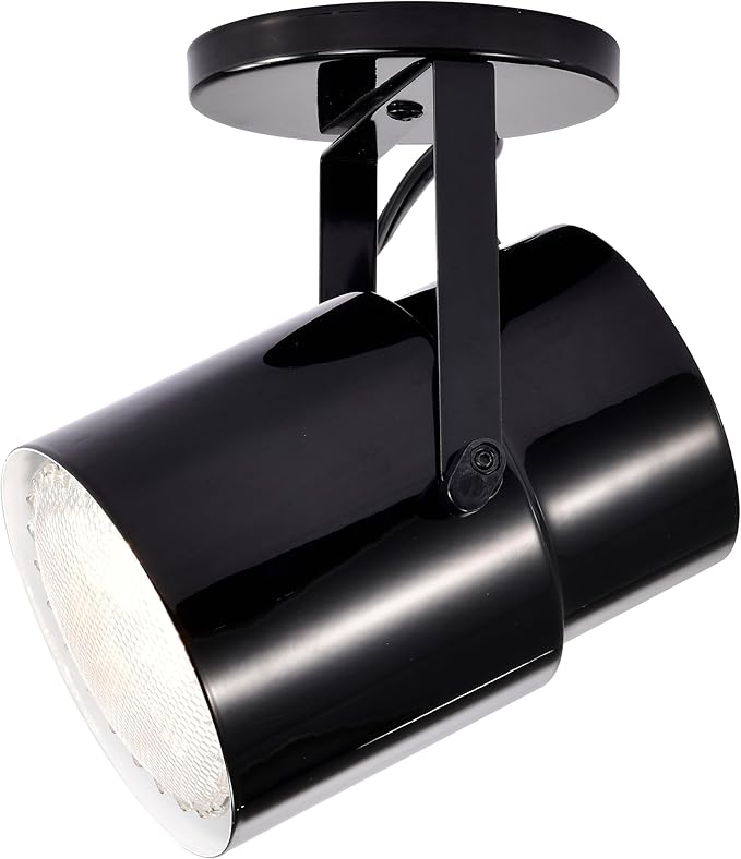 Satco SF77/394 Incandescent Portable Plant Lamp, 60 Watts, Alloy Steel, Black