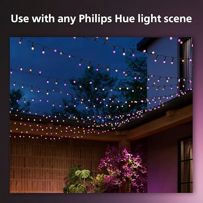 Philips Hue 65-Foot Festavia String Lights, 250 Mini Color Changing Smart LEDs - Weatherproof, Control with Hue App, Indoor/Outdoor Lighting Works with Alexa, Google Assistant and Apple HomeKit