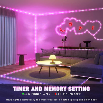 Rope Lights Outdoor, 66FT 200 LED Rope Lights for Outside Waterproof with 8 Modes, Flexible and Connectable Clear Tube Light for Indoor, Garden, Backyard, Patio, Pool, Tree Holiday Decorations - Pink