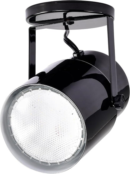 Satco SF77/394 Incandescent Portable Plant Lamp, 60 Watts, Alloy Steel, Black
