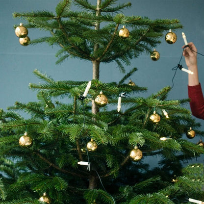 Lulu Home Christmas Ball Ornaments, 34 Ct 1.57" Pre-Strung Hanging Ornament Decorations, Xmas Shatterproof Plastic Balls for Holiday Party Wreath Garlands Trees, Golden