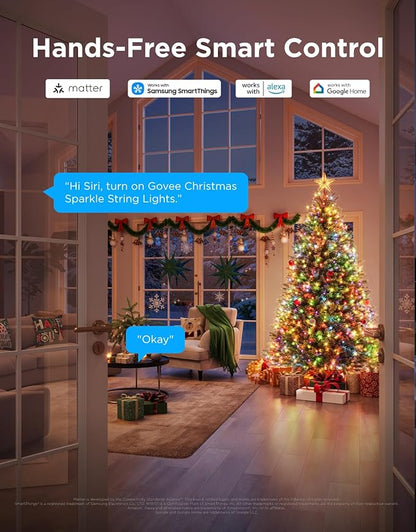 Govee Christmas Sparkle String Lights 99ft, RGBWIC String Lights with 375 Bullet-Head LEDs, App-Controlled, 140+ Scene Modes, 3D Shape Mapping, Works with SmartThings, Indoor Holiday Decorations