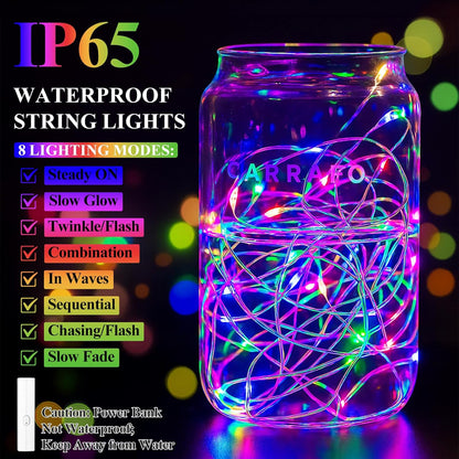 Lakumu Battery Operated String Lights, Twinkle Lights with Timer, Mini LED Fairy Lights for Bedroom, Christmas Decorations, Wedding, Vine, Centerpiece Table Decor (5M/16FT Multicolor)