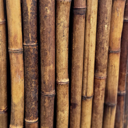 Backyard X-Scapes Dark Bamboo Fence Privacy Screen Decorative Fence Roll Panels, Caramel Brown 3 ft High x 8 ft Wide